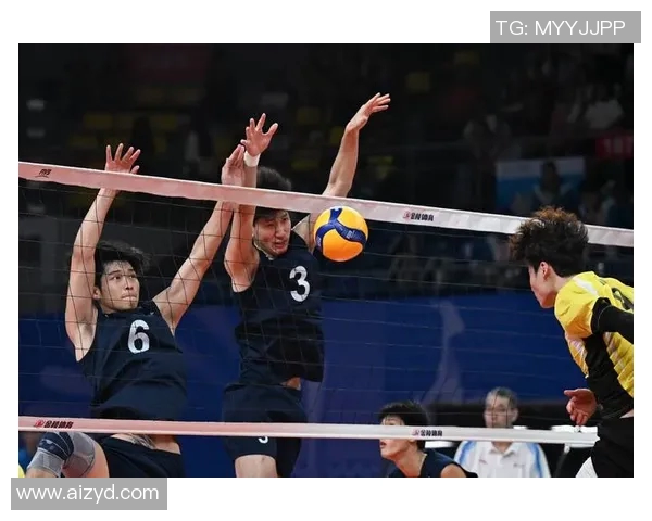 杭州排球队的战术控制与技术分析探讨排球热点新视角